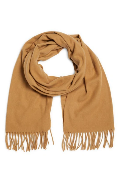 Acne Studios Canada Cashemere Scarf In Dark Camel