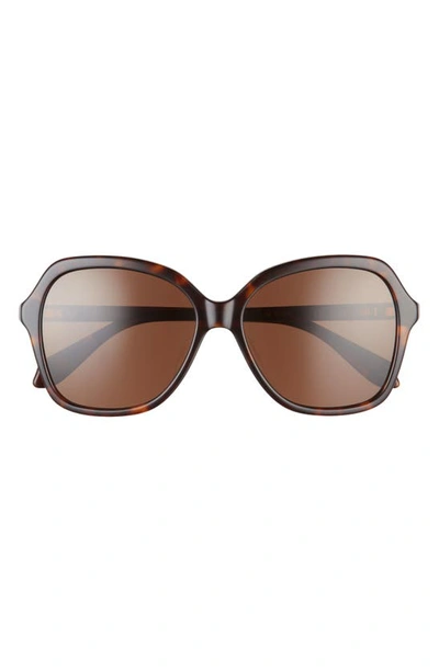 Mohala Eyewear Hiilawe Special Low 56mm Polarized Oval Sunglasses In Kukui Tortoise