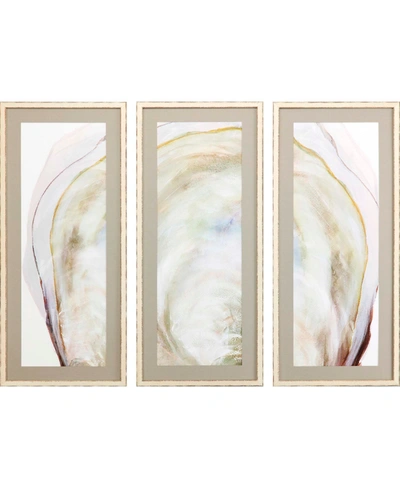 Paragon Picture Gallery Oyster Shell Wall Art Set, 3 Piece In Yellow