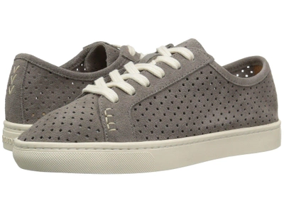 Soludos Perforated Lace-up Sneakers In Dove Grey
