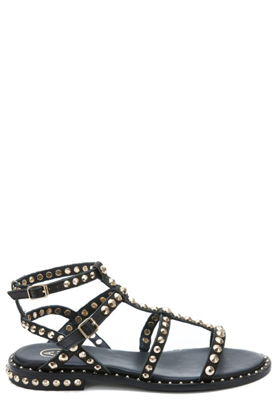 Ash Precious Buckle Fastened Sandals In Nero