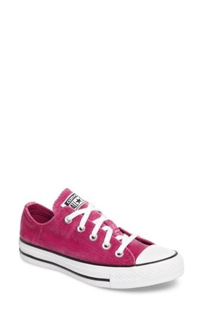 Converse Chuck Taylor All Star Seasonal Ox Low Top Sneaker In Pink Sapphire Velvet