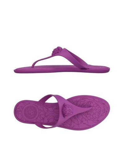 Versace Toe Strap Sandals In Purple