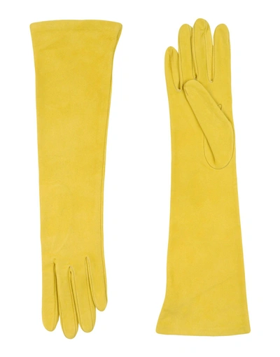 Dsquared2 Gloves In Yellow