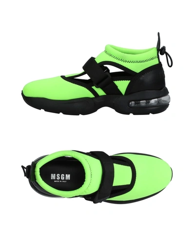 Msgm Sneakers In Light Green