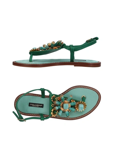 Dolce & Gabbana Toe Strap Sandals In Green