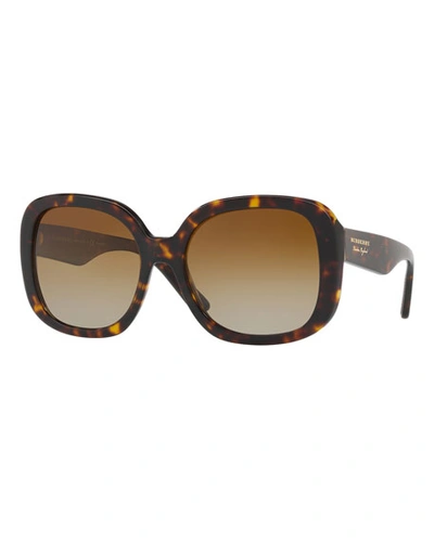 Burberry Square Acetate Sunglasses In Dark Brown