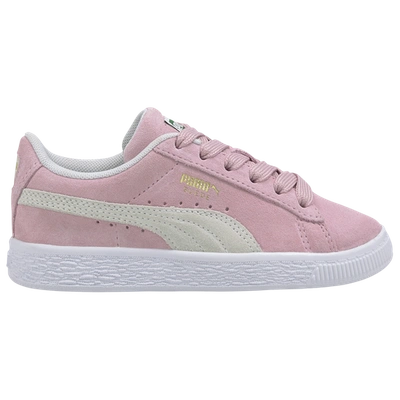 Puma Girls' Big Kids' Suede Classic Xxi Jr Casual Shoes In Desert Flower/desert Flower