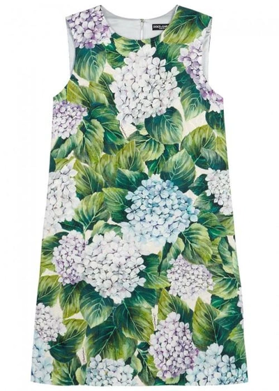 Dolce & Gabbana Hydrangea-print Jacquard Shift Dress In Green