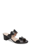 Patricia Green Palm Beach Slide Sandal In Black Leather