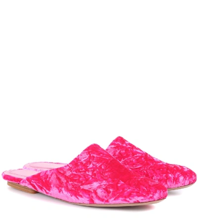 Dries Van Noten Crushed Velvet Mule Slide In Pink