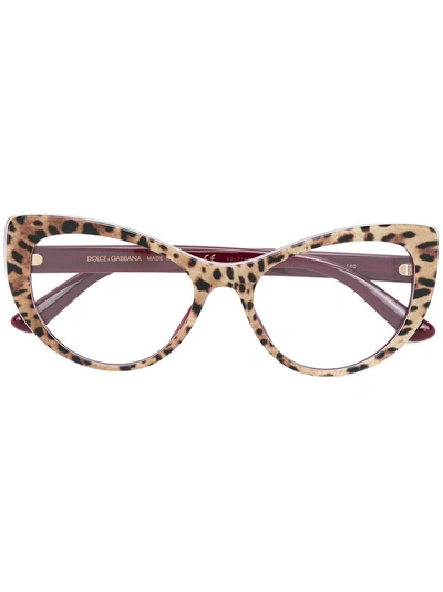 Dolce & Gabbana Eyewear Cat-eye Glasses - Nude & Neutrals