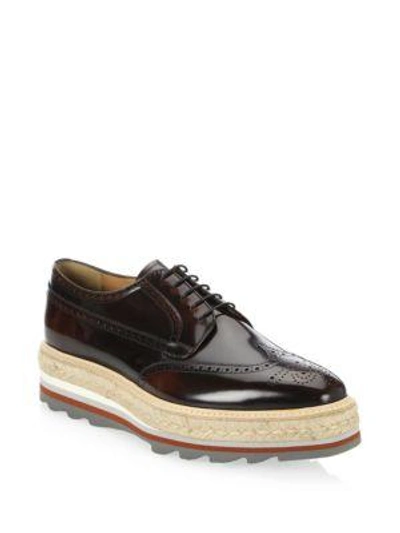 Prada Opposite Gradient Leather Derby Shoes In Brown