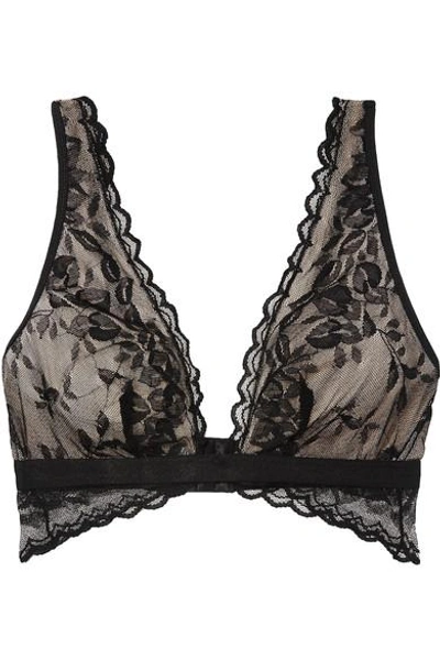 Cosabella Seymour Stretch-lace Soft-cup Bra In Black