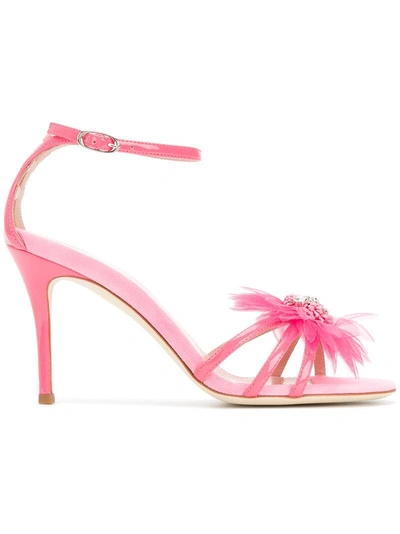 Giuseppe Zanotti Feather Applique Sandals In Pink