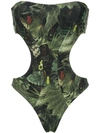 Lygia & Nanny Taylor Leaves Print Swimsuit In Guanacaste