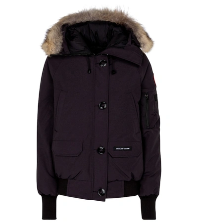 Canada Goose Chilliwack Black Fur-trimmed Arctic-tech Jacket In Nocolor