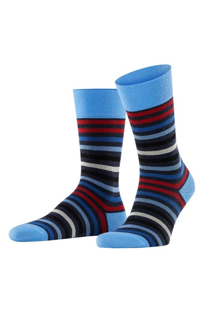 Falke Tinted Stripe Wool Blend Crew Socks In Dark Sapphire
