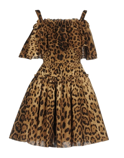 Dolce & Gabbana Short Dresses In Brown