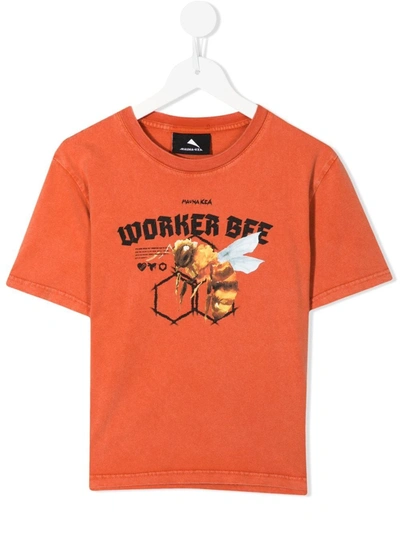 Mauna Kea Graphic Print Cotton T-shirt In Orange