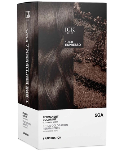Igk Hair 6-pc. Permanent Color Set In Espresso