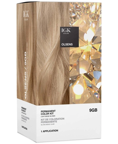 Igk Hair 6-pc. Permanent Color Set In Olsens