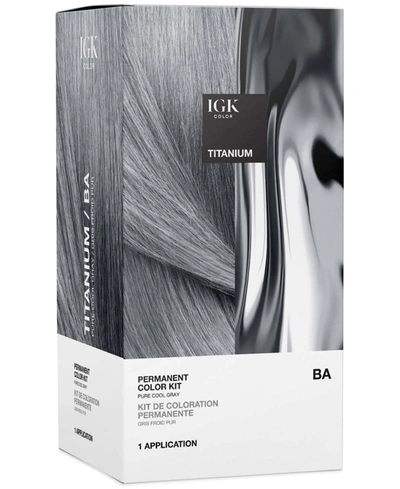 Igk Hair 6-pc. Permanent Color Set In Titanium