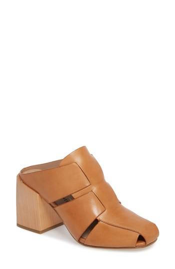 donald pliner mules