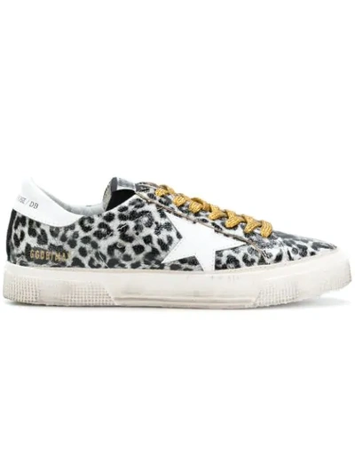 Golden Goose May Leather Sneaker Leopard Color