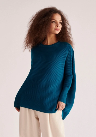 Paisie Ribbed Jumper In Blue