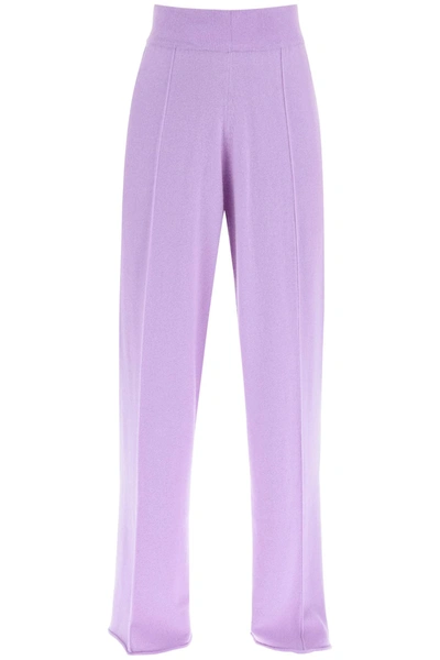 Allude Cashmere Pants In Purple Cashmere