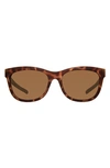 Eddie Bauer 54mm Round Polarized Sunglasses In Tortoise/ Brown