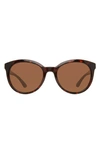Eddie Bauer 54mm Round Polarized Sunglasses In Tortoise/ Brown