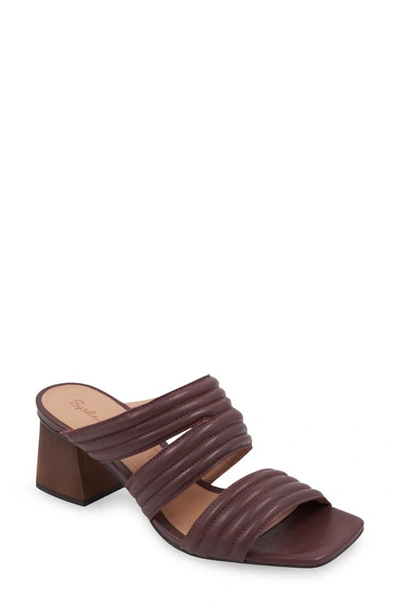 Splendid Kaira Sandal In Brown