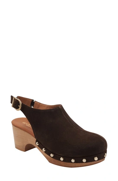 Andre Assous Andrea Assous Women's Skylar Studded Water Resistant Platform Clogs In Chocolate
