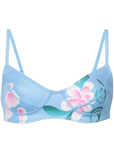 Cynthia Rowley Fiji Floral Bikini Top - Blue