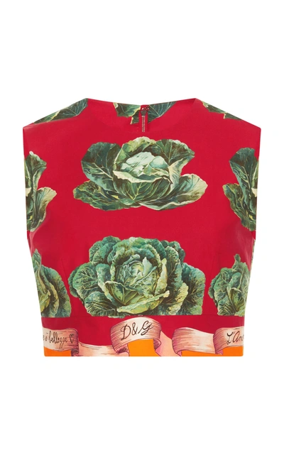 Dolce & Gabbana Sleeveless Cavoli Crop Top In Print