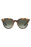 Toms Aaryn 50mm Round Sunglasses In Blonde Tortoise/ Olive