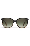 Toms Sandela 55mm Gradient Square Sunglasses In Black Fade/olive Gradient