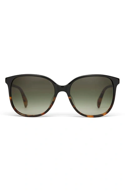 Toms Sandela 55mm Gradient Square Sunglasses In Black Fade/olive Gradient