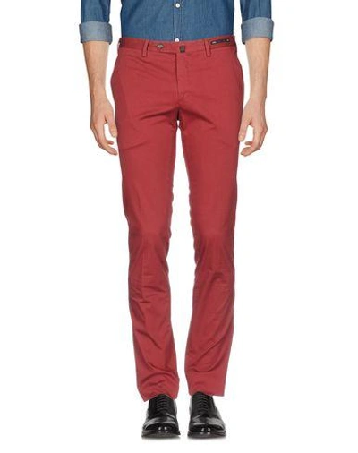 Pt01 Casual Pants In Maroon