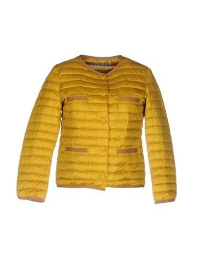 Add Down Jacket In Ocher