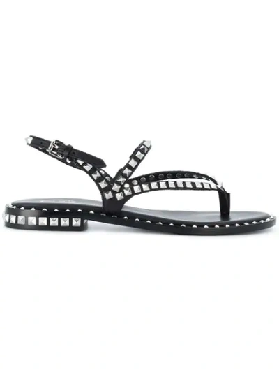Ash Peps Studded Sandals In Nero