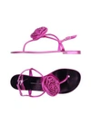 Giuseppe Zanotti In Fuchsia