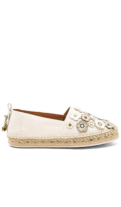 Coach Tea Rose Astor Espadrille In Ivory