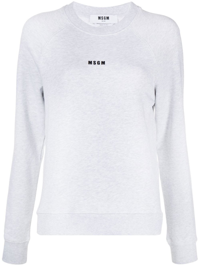 Msgm Mini Logo Cotton Sweatshirt In Black