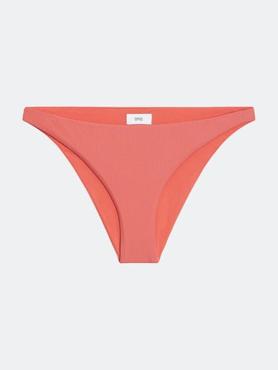 Onia Ashley Bikini Bottom In Orange