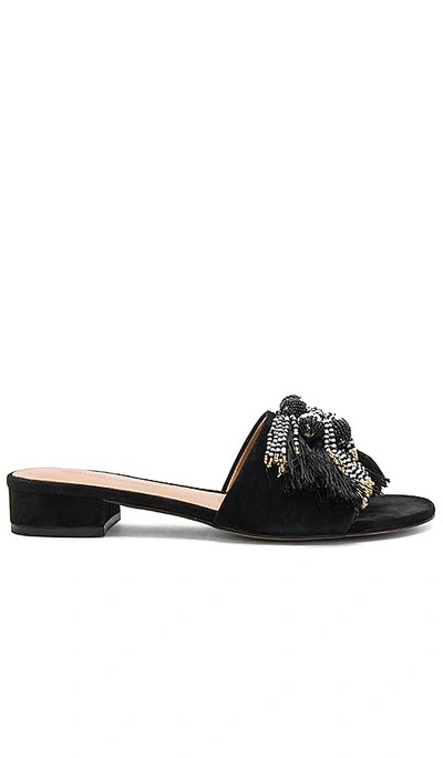 Rebecca Minkoff Women's Kayleigh Embellished Suede Low Block Heel Slide Sandals In Black