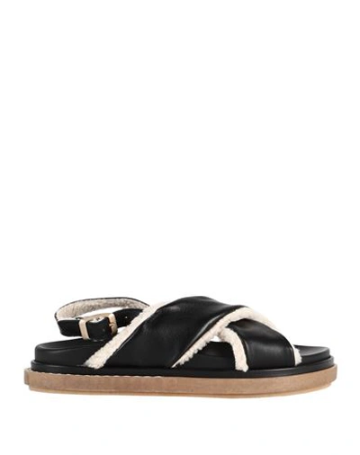 Alohas Marshmallow Sandal In Black Leather
