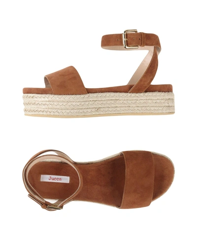 Jucca Sandals In Brown